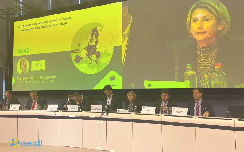 EU support for regions with geographic and demographic handicaps. What is at stake?
