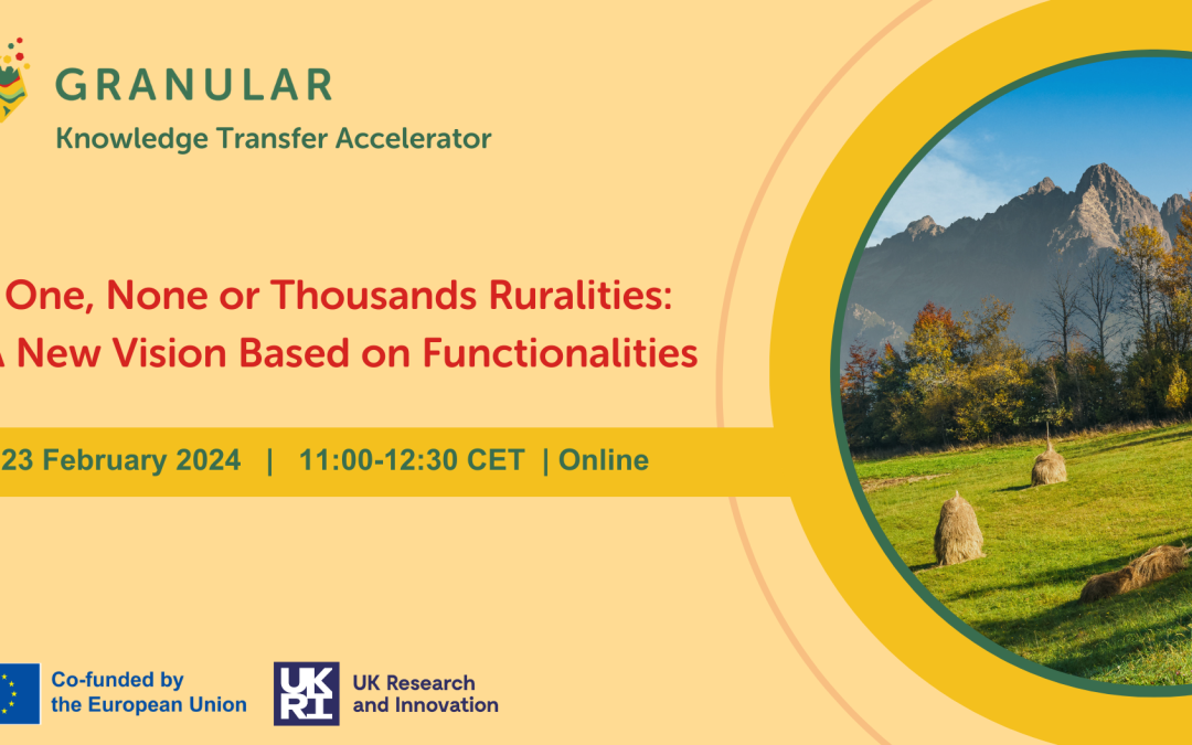 One, None or Thousands Ruralities: A New Vision Based on Functionalities